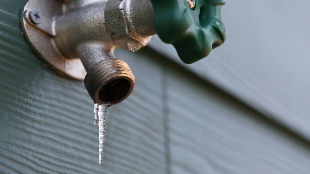 Best Sewer Line Repair  in Butler, MO